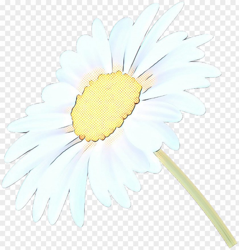 Oxeye Daisy Transvaal Dandelion Sunflower Plant Stem PNG