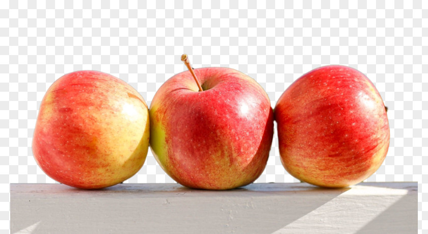 Painting Food Paradise Apple PNG