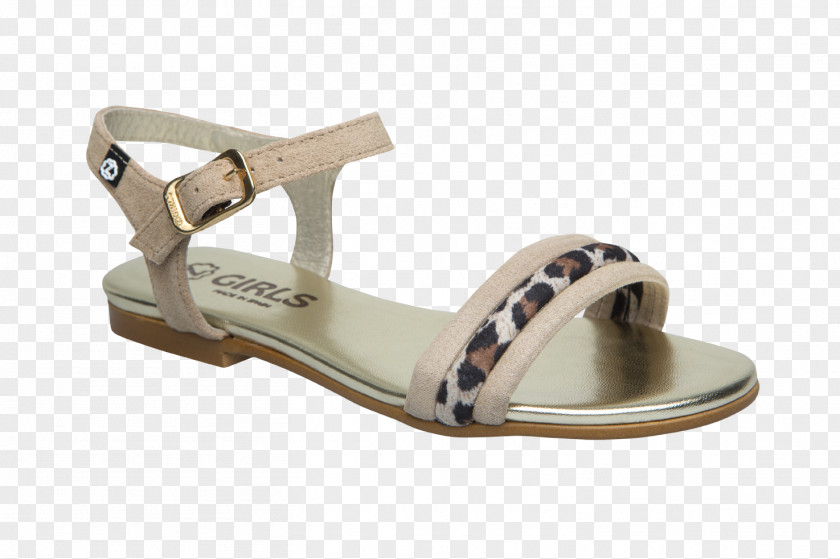 Sandal Slide Shoe PNG