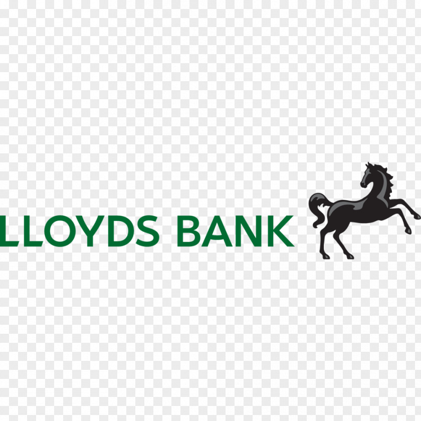 Bank Lloyds Banking Group Halifax Horse PNG
