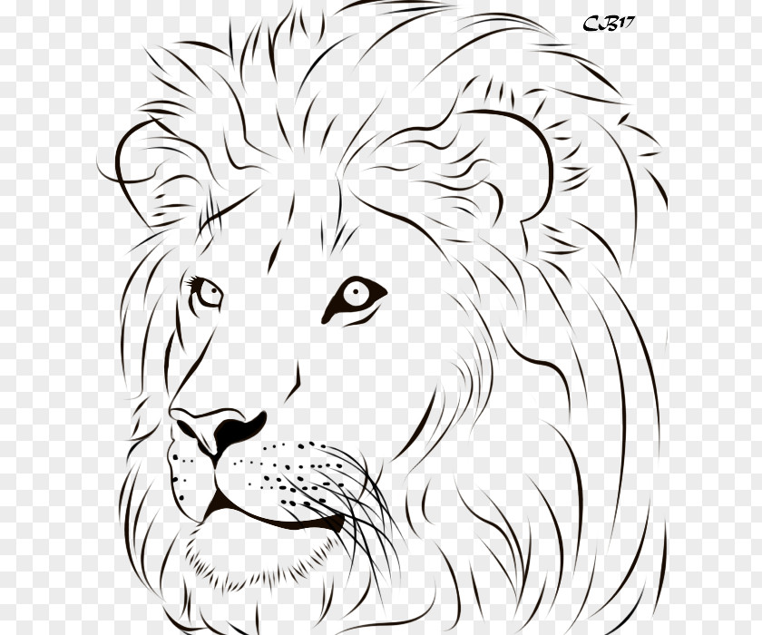 Lion Tiger Line Art Drawing Clip PNG