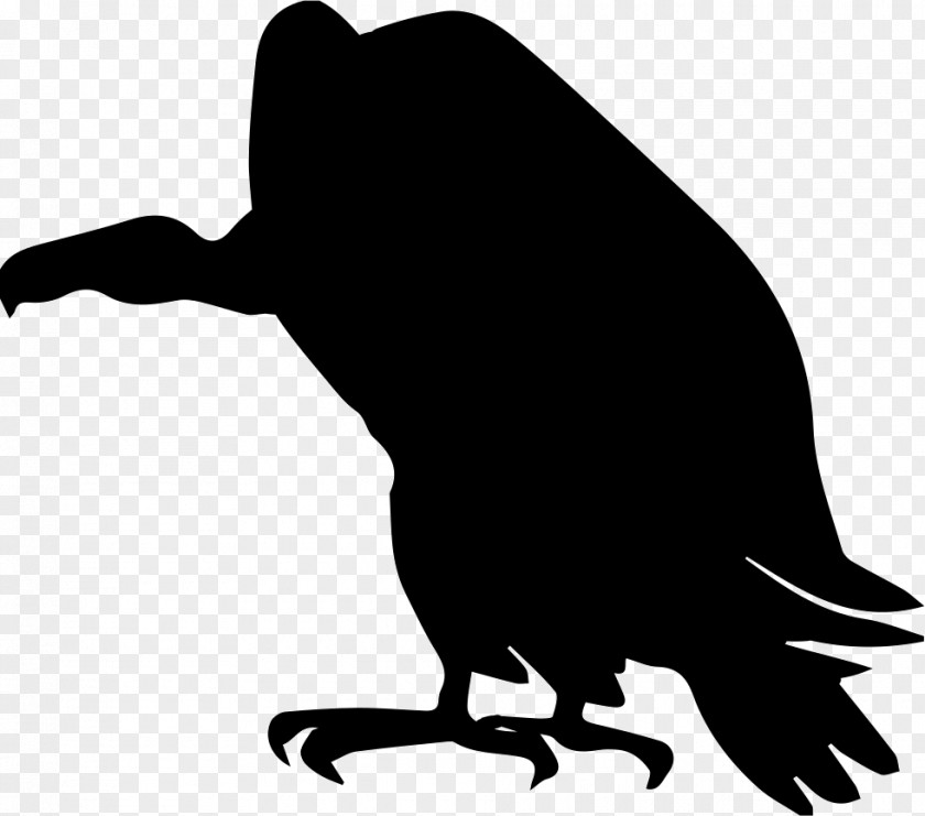 Silhouette Turkey Vulture Clip Art PNG