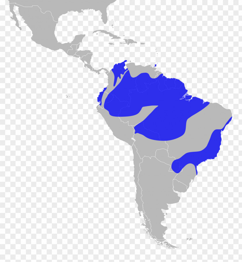 South America Latin American Wars Of Independence United States Subregion PNG