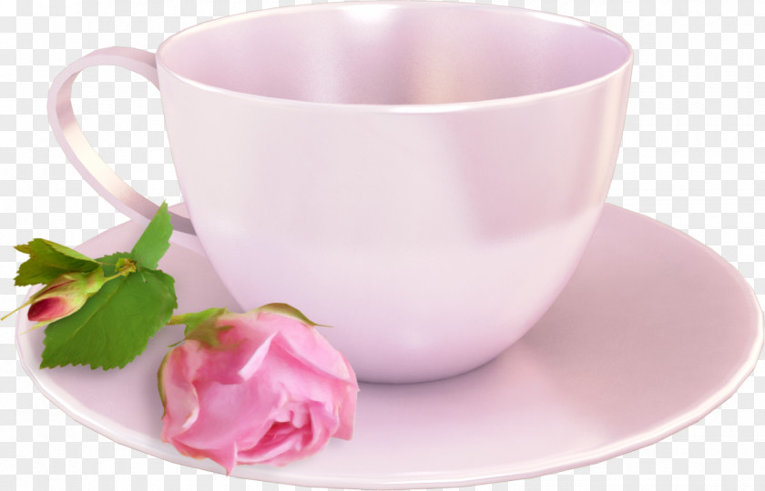 Tea Cup Blog PNG