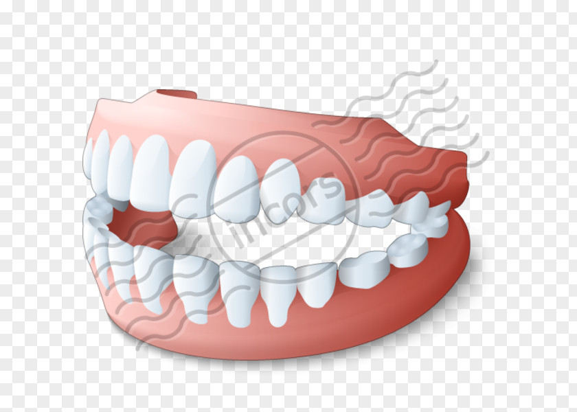 Toothbrush Dentures Dentistry Removable Partial Denture PNG