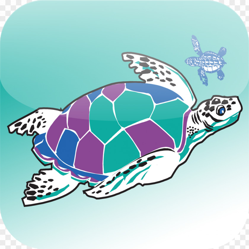 Turtle Loggerhead Sea Getaways Turtle, Inc. PNG