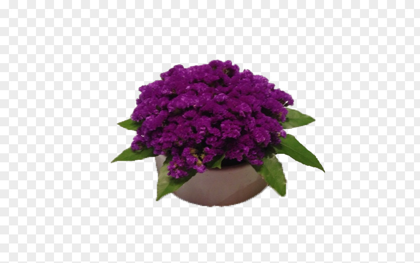 Violet Flowerpot Clip Art PNG