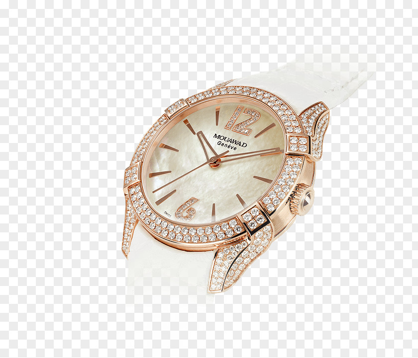 Watch Strap Claw Apple PNG