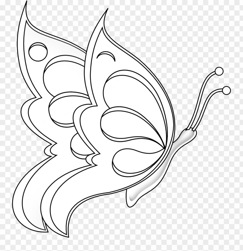 Black And White Line Art Butterfly Drawing PNG