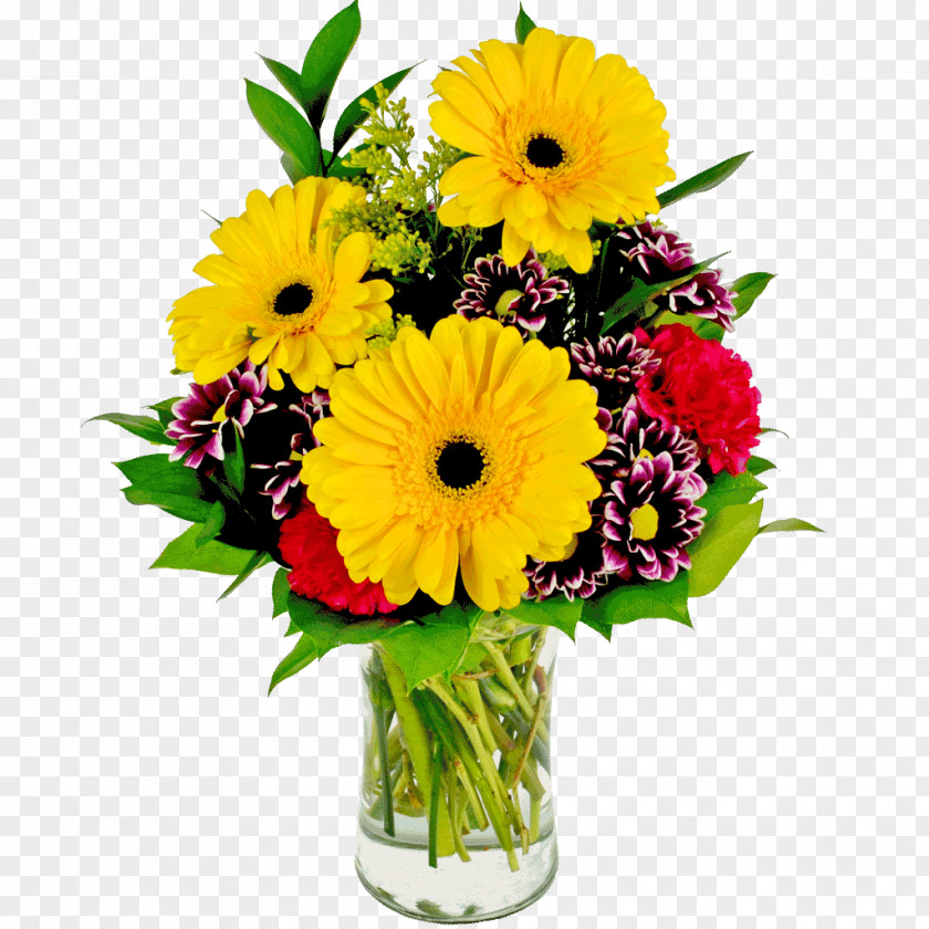 Flower Transvaal Daisy Bouquet Cut Flowers Floral Design PNG