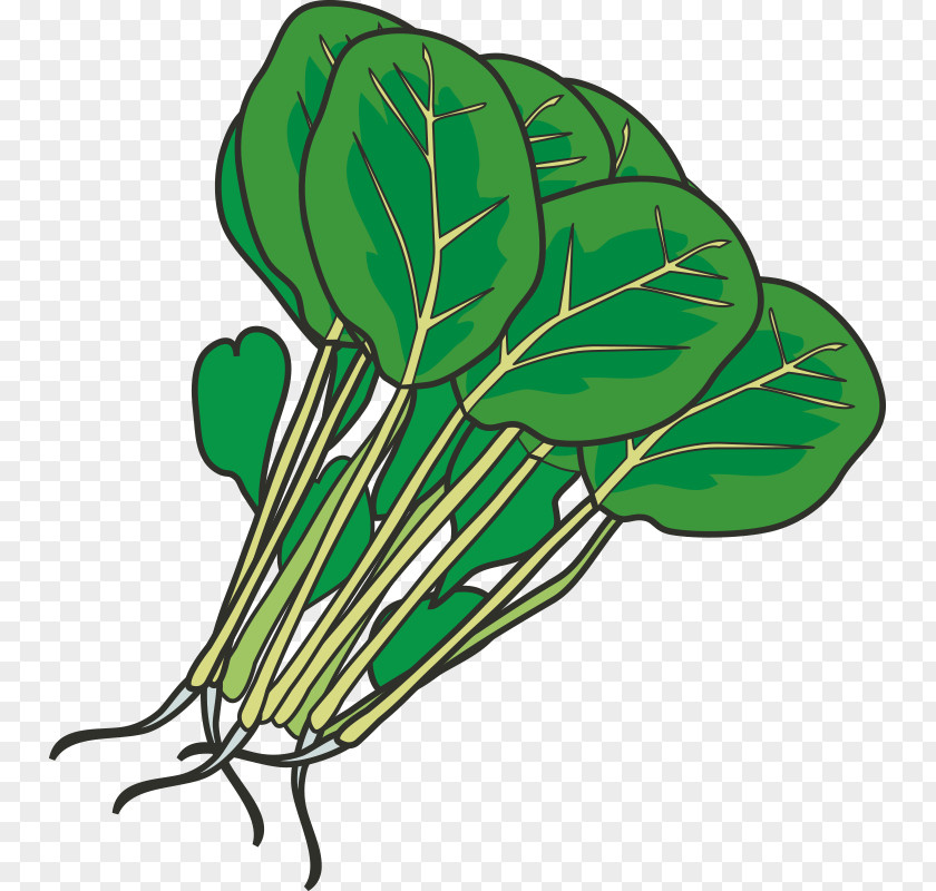 Vegetables,Fruits And Vegetables,Green,fruit,vegetables Hot Pot Leaf Vegetable Spinach Clip Art PNG