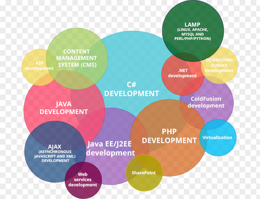 Web Design Development Software Developer Mobile App PNG