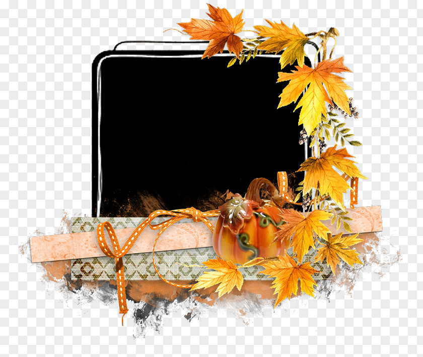 Autumn Season Floral Design Cut Flowers PNG