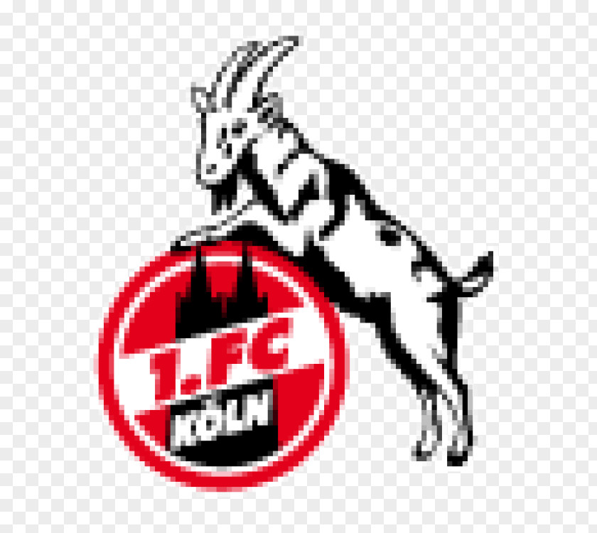 Football 1. FC Köln Bundesliga Cologne SC Fortuna Viktoria PNG