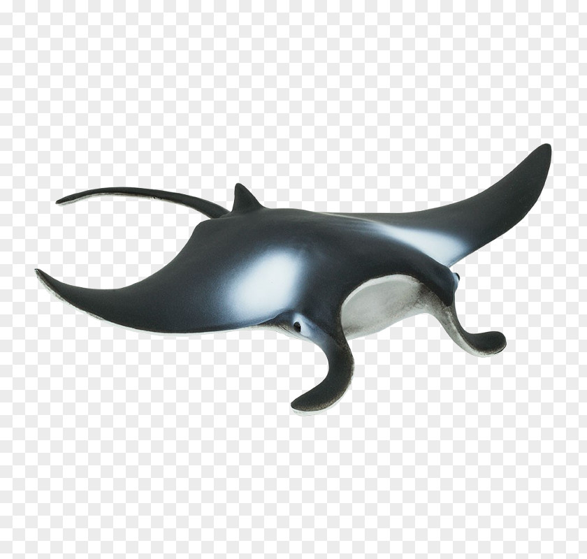 Shark Safari Ltd Animal Figurine Giant Oceanic Manta Ray PNG