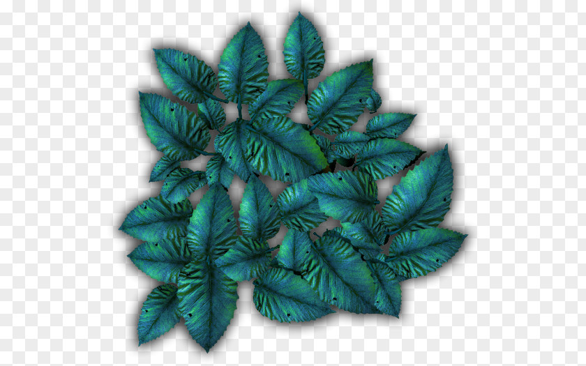 Tropical Foliage Leaf Turquoise PNG