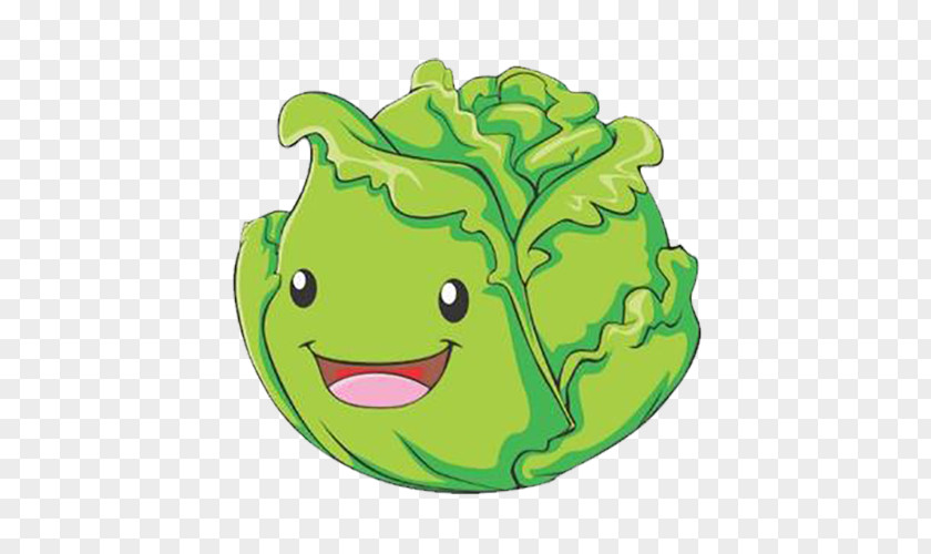 Cartoon Anthropomorphic Cabbage Vegetable Illustration PNG