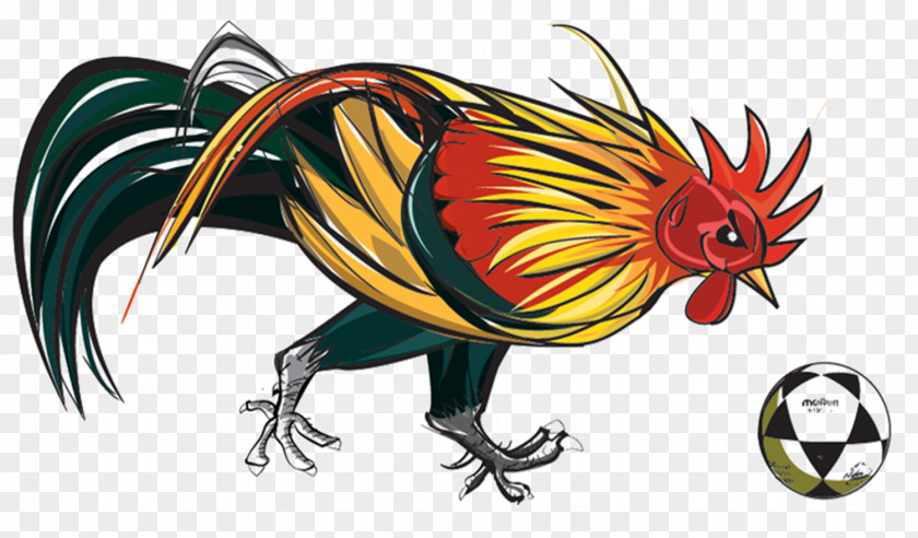 Feather Rooster Beak Dragon PNG