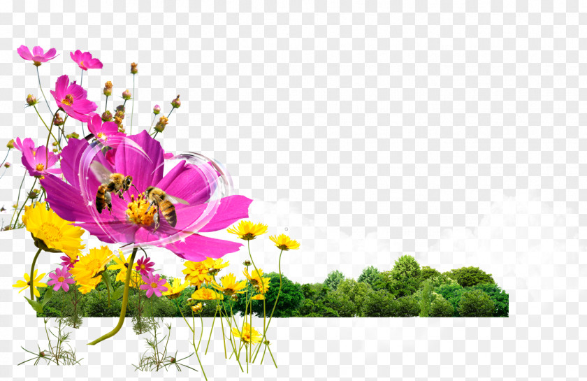 Flowers Bee Flower Gratis Computer File PNG