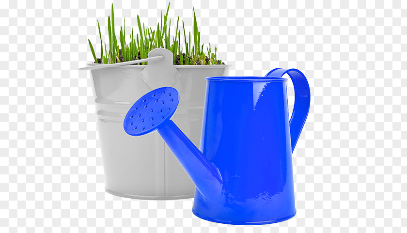 Personal Savings Stock Photography Watering Cans Depositphotos Light PNG