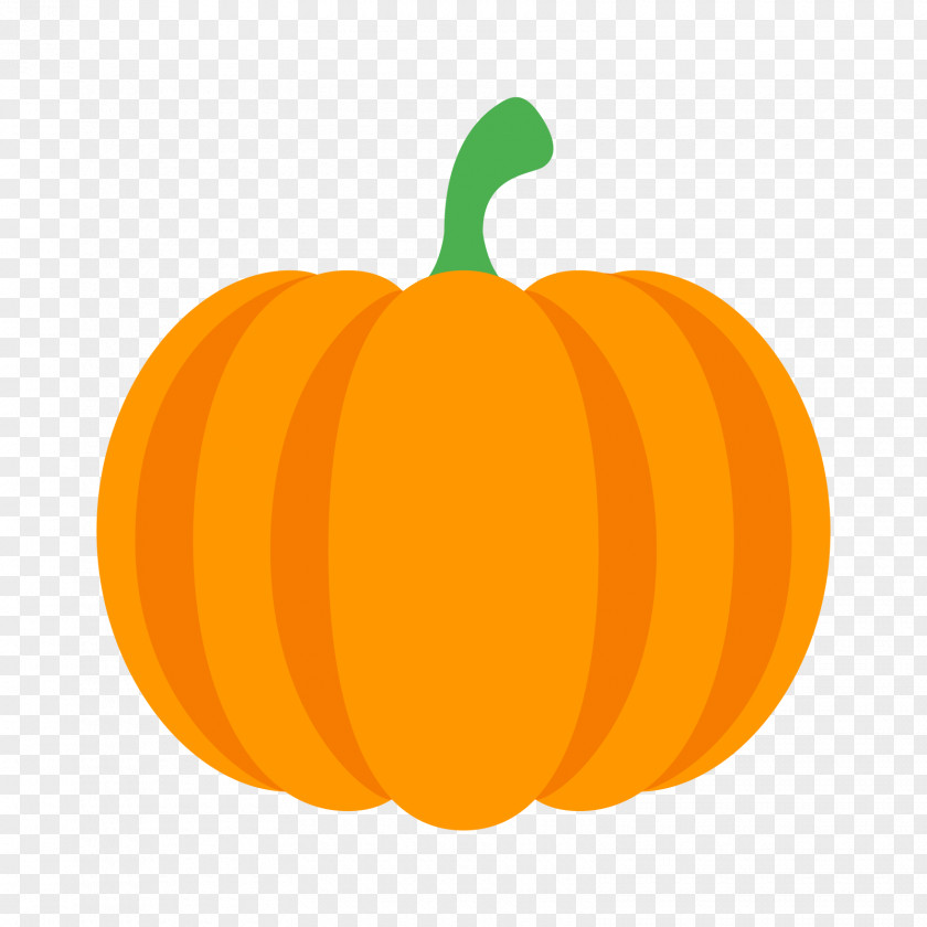 Pumpkin Jack-o'-lantern Gourd Computer Icons Squash PNG