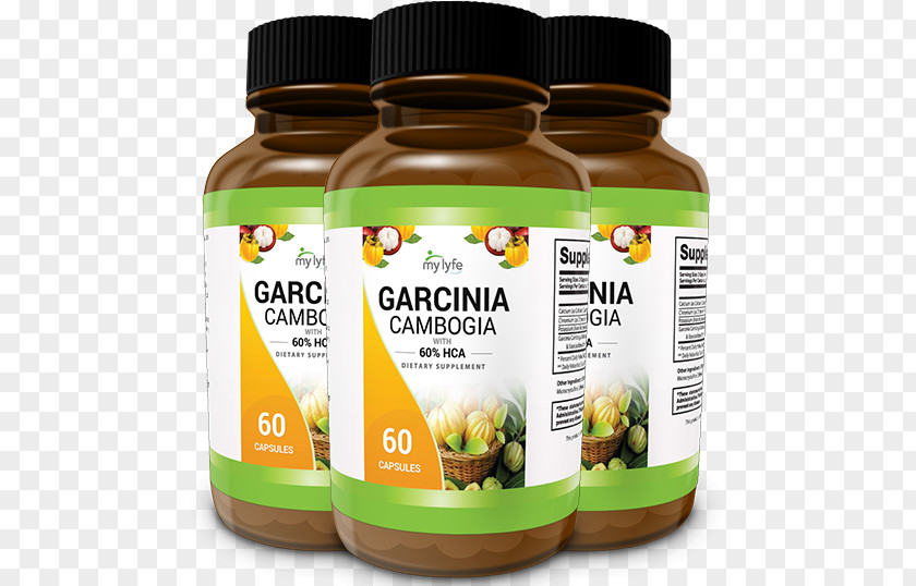 Reduce Fat Garcinia Cambogia Weight Loss Dietary Supplement Food Adipose Tissue PNG