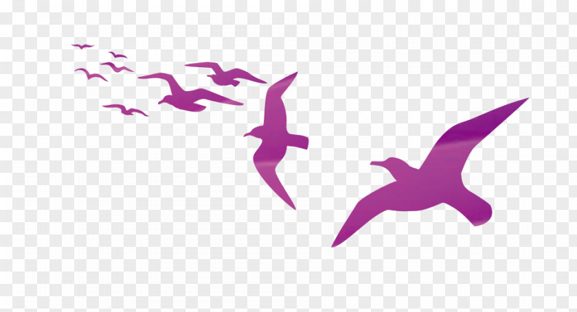 Simple Flying Bird Flight Geometry Designer PNG