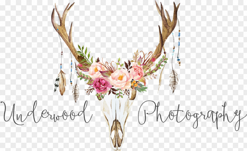 Veronica Lodge Stock Photography Antler PNG
