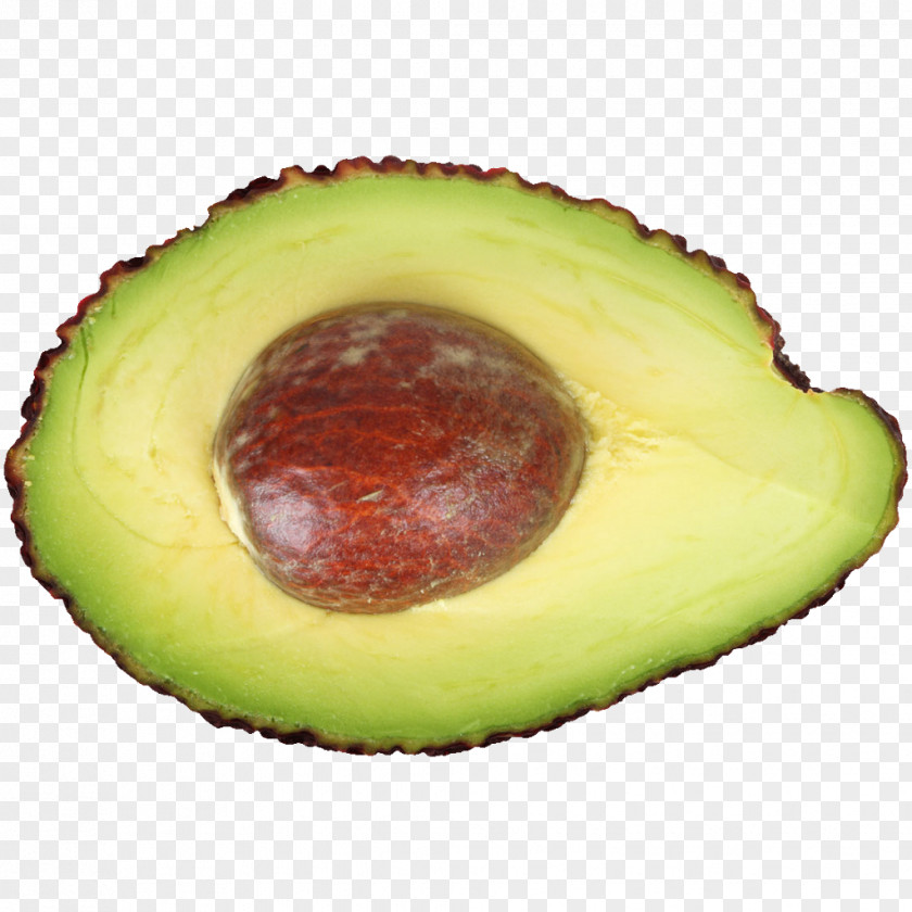 Avocado Eating Seed Food PNG