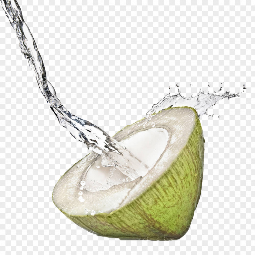 Hand Drawn Coconut Juice Water Smoothie Sports Drink PNG