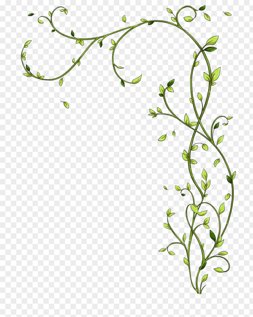Leaf Twig Floral Design Green Plant Stem PNG