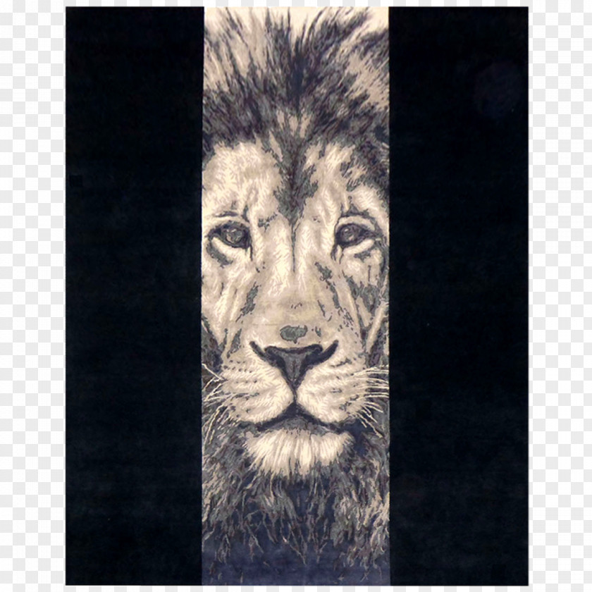 Lion Drawing Cat Tattoo Sketch PNG
