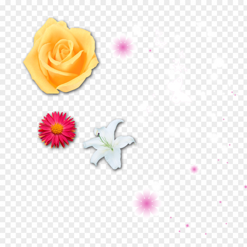 Real Flowers And Small Floral Single Flower Rose Yellow PNG