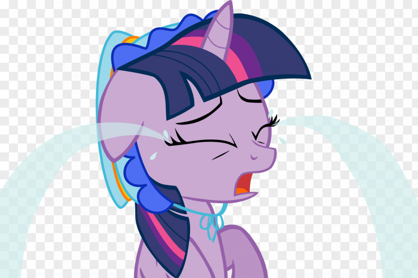 Shine Vector Twilight Sparkle Pinkie Pie Applejack Rarity Rainbow Dash PNG