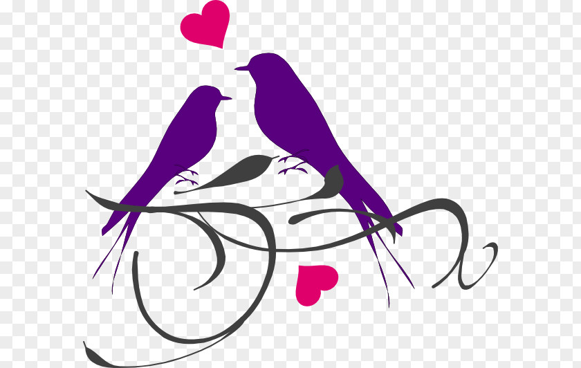 Bird Lovebird Silhouette Clip Art PNG
