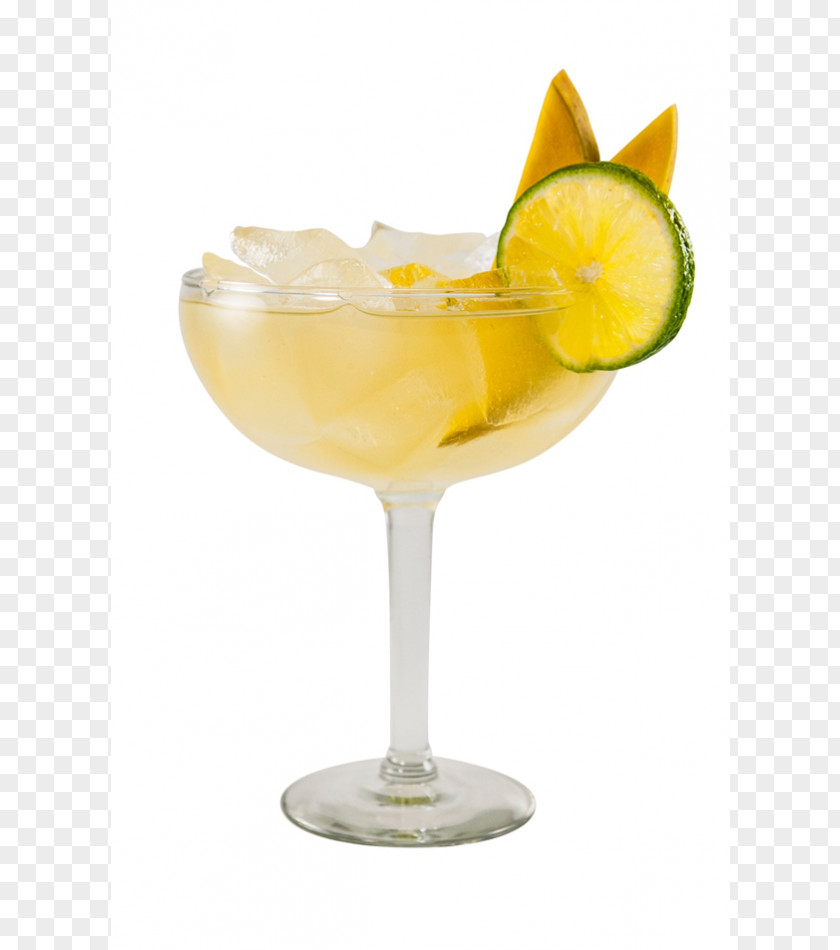 Cocktail Garnish Margarita Daiquiri Martini Piña Colada PNG