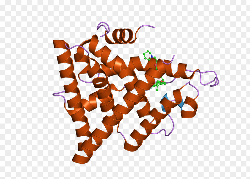 Estrogen Receptor Alpha Nuclear NRIP1 PNG