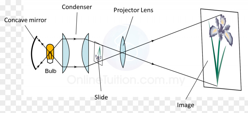 Form 5 4 Center Of Curvature Concave Function Mirror PNG