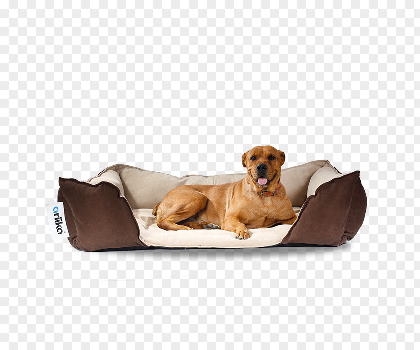 Spike Companion Dog Puppy Bean Bag Chairs PNG