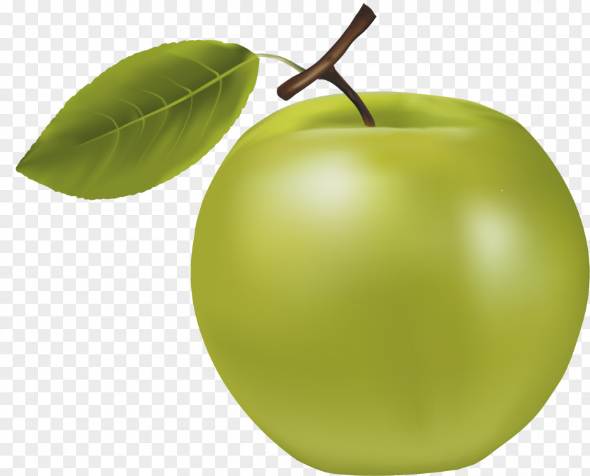 A Green Apple Granny Smith Manzana Verde PNG