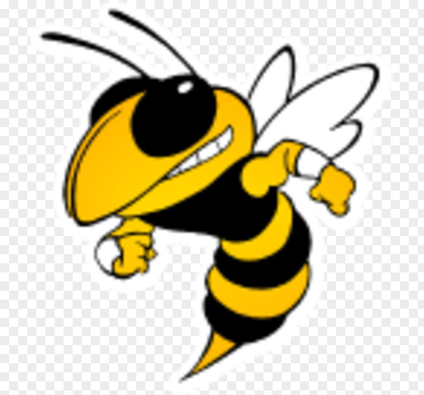 Bee Georgia Institute Of Technology Tech Yellow Jackets Football Yellowjacket Hornet PNG