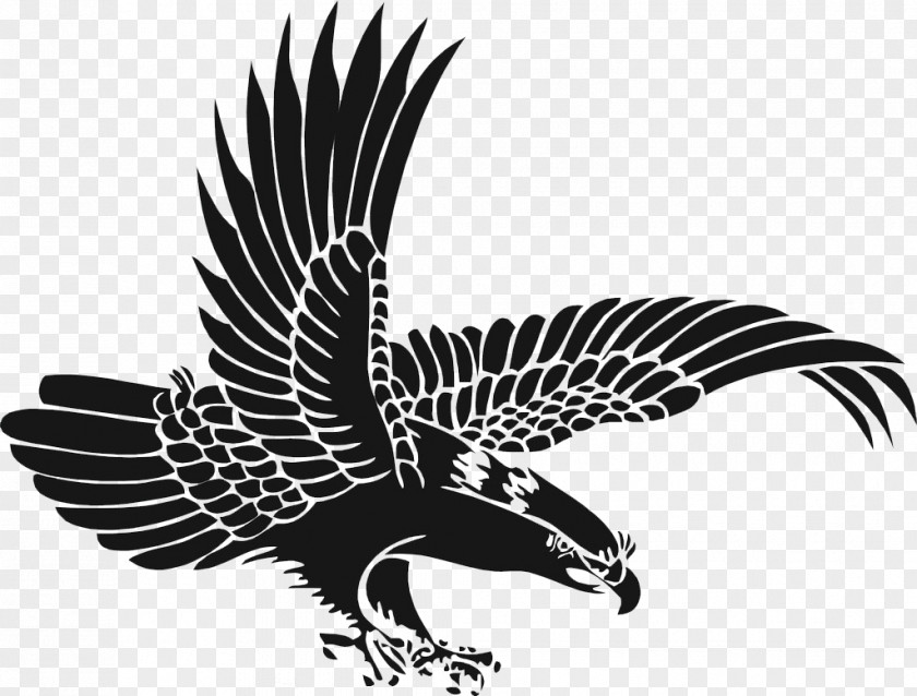 Eagle Wings Hawk Graphic Design PNG