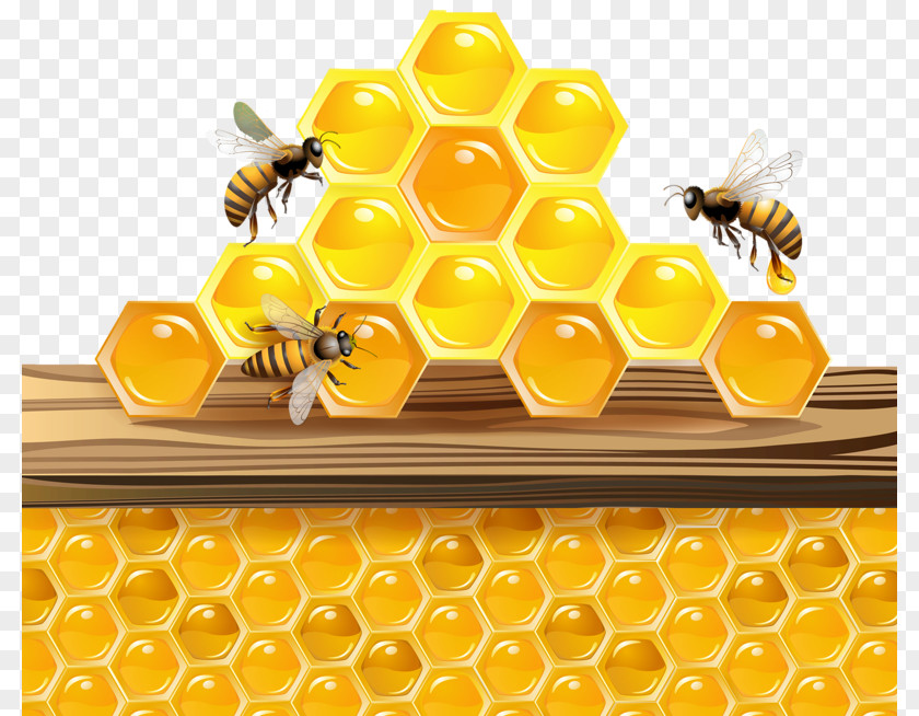 Honey Honeycomb Bee Beehive Clip Art PNG
