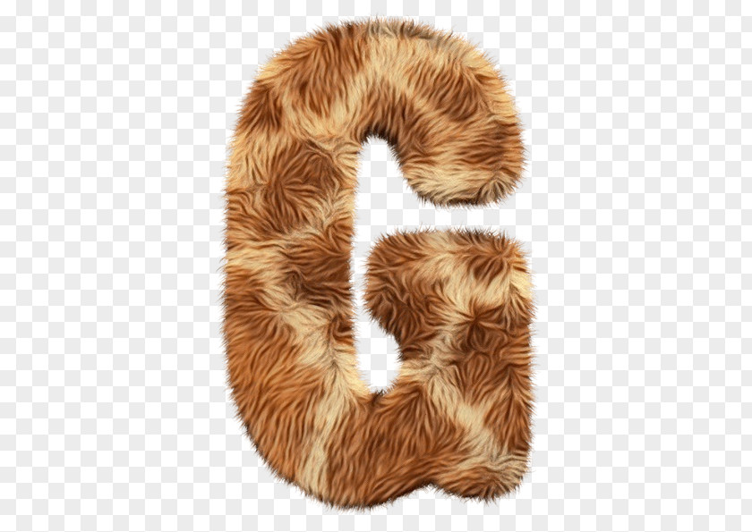 Neck Fur Clothing Brown Font Tail Textile PNG