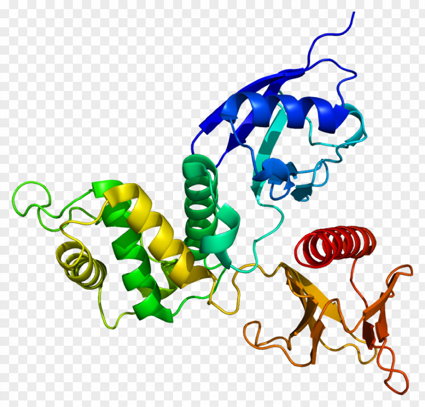 Protein Tertiary Structure Radixin PRKCD Kinase C PNG
