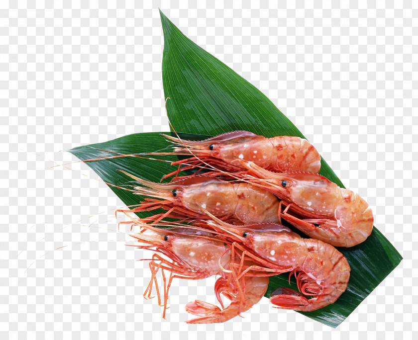 Seafood Shrimps Hokkaido Sushi Crab Sashimi PNG