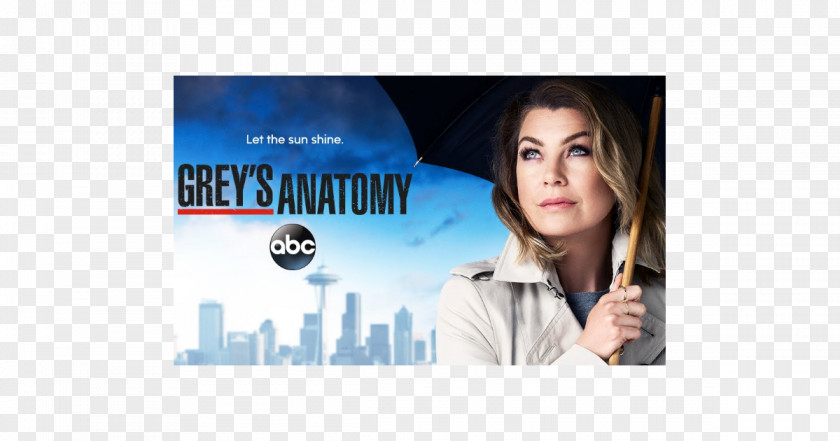 Season 12 Meredith Grey Grey's AnatomySeason 13Others Ellen Pompeo Anatomy PNG