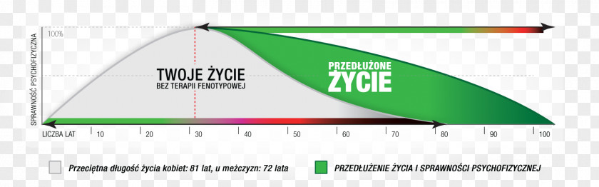 Triangle Brand Diagram PNG