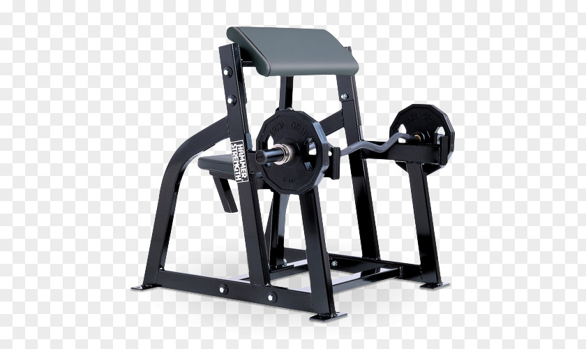 Barbell Bench Biceps Curl Strength Training Exercise Equipment PNG