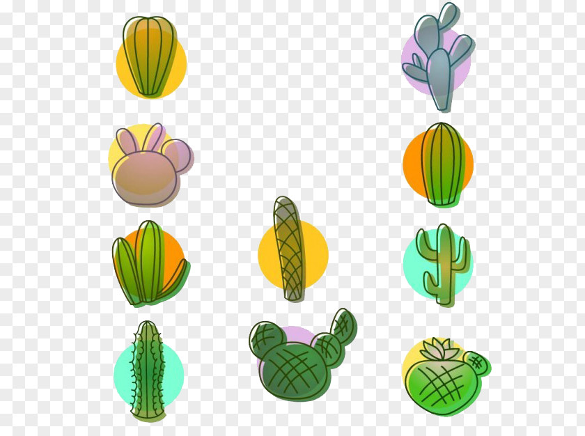 Green Cactus Plant Potted Collection Cactaceae Euclidean Vector PNG